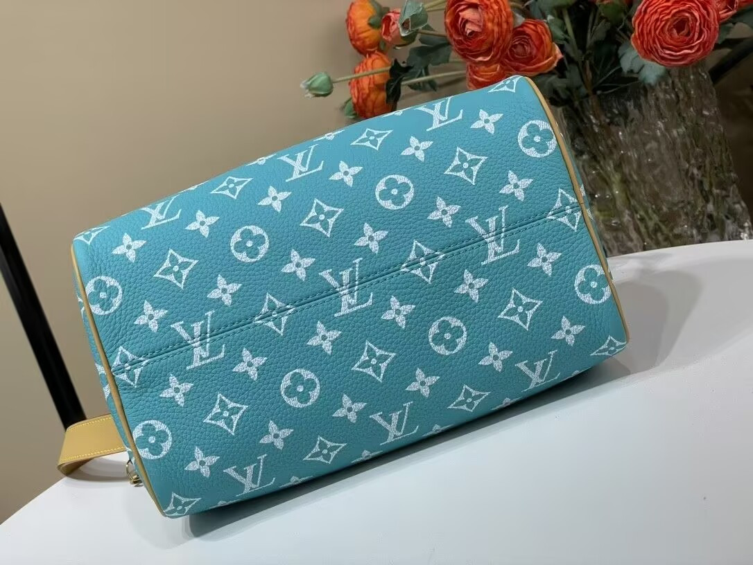 LV SPEEDY BANDOULIÈRE25 M11561