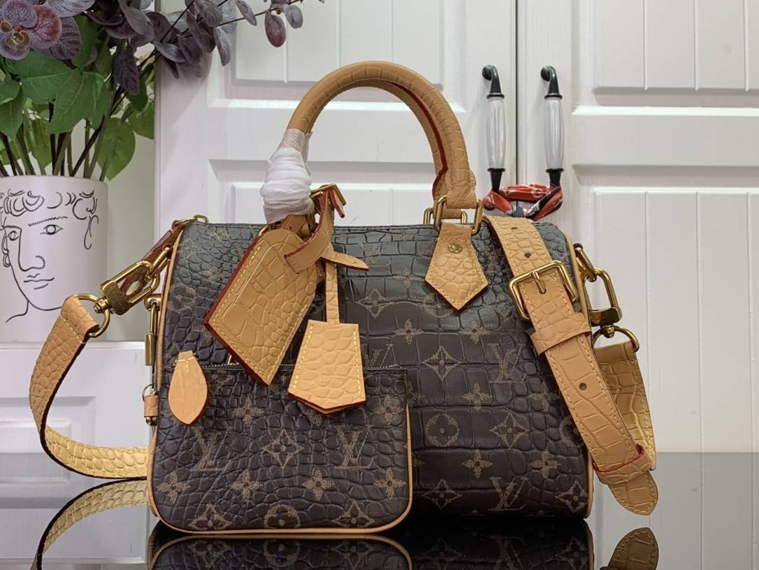 LV Speedy P9 25 N87504 25x15x15cm