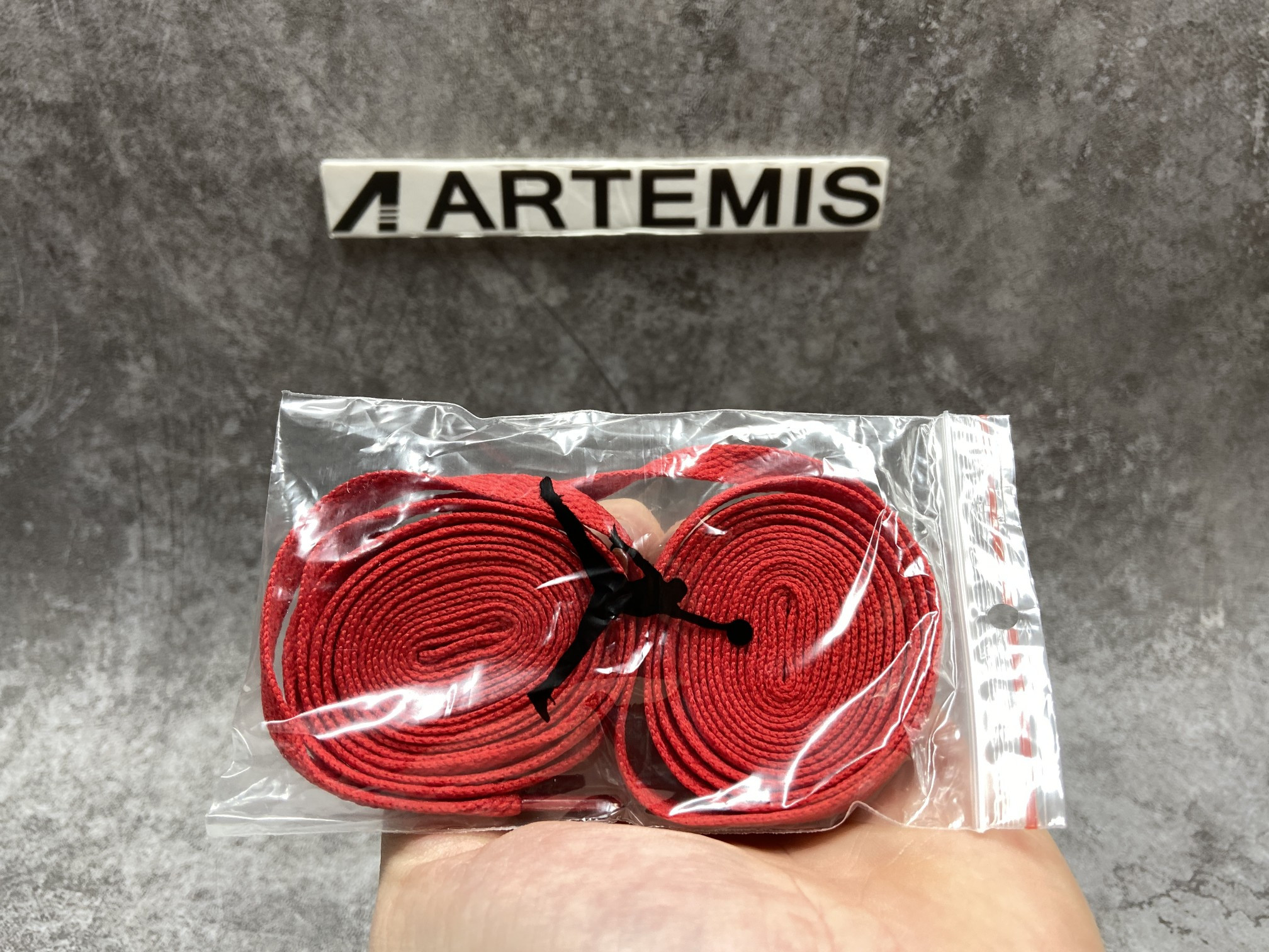 Air Jordan 1 Mid SE Nike Swoosh On Tour (2020)