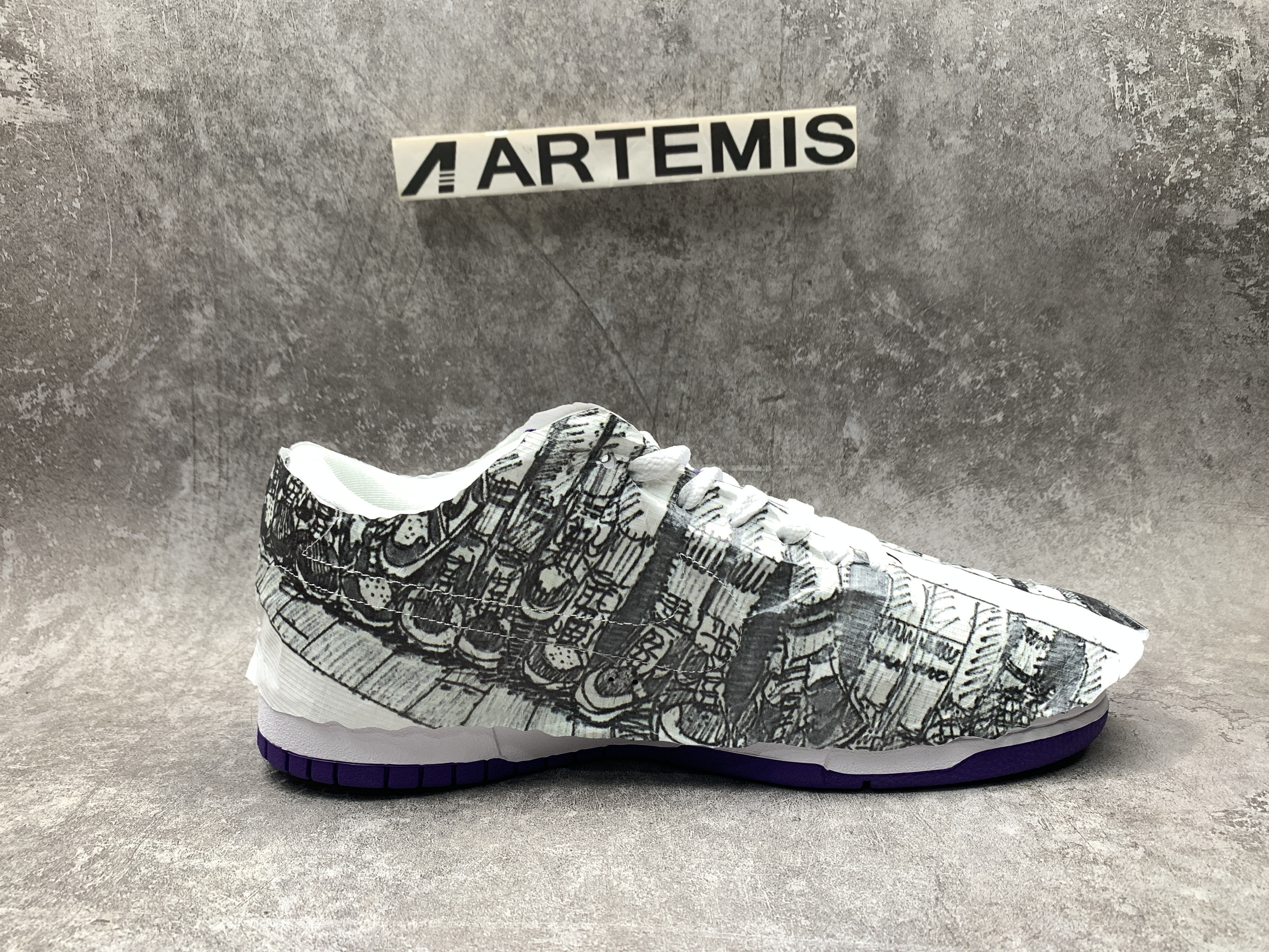 Nike Dunk Low Flip the Old School