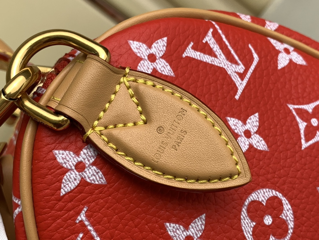 LV SPEEDY BANDOULIÈRE25 M24425